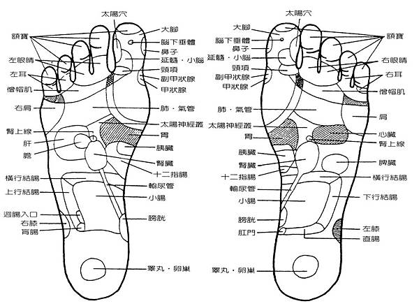 腳底穴道按摩圖_穴位對應反射區(腳底痛時超實用的-好處多多)