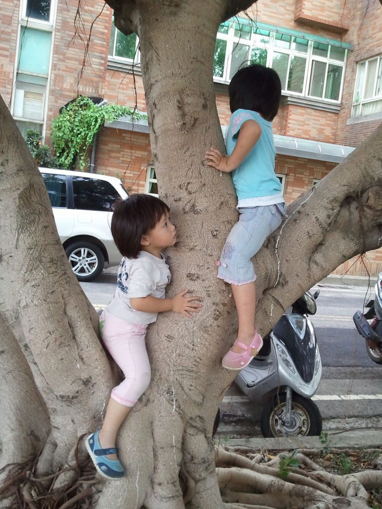 相片2533.jpg 相片2533.jpg