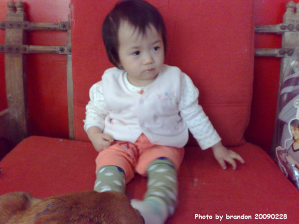 20090228031.jpg 20090228031.jpg