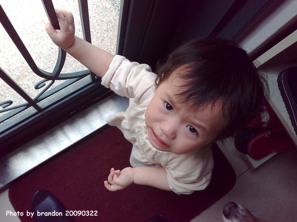 20090322050.jpg 20090322050.jpg