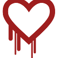 Heartbleed.svg.png