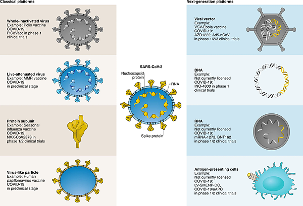 An overview of the different vaccine platforms in development against COVID-19.