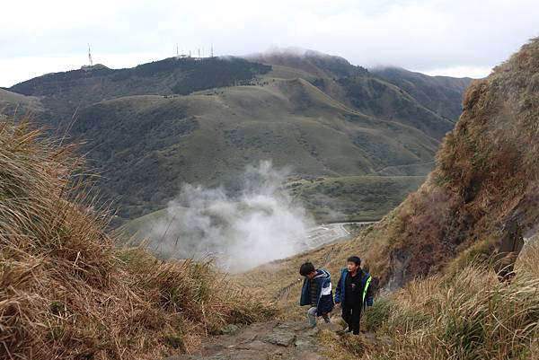 原原種但馬牛 - 源興牛