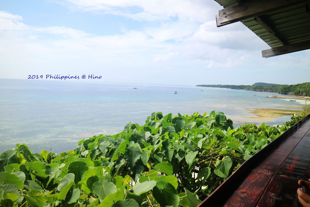 4 薄荷島 蜜蜂農場.jpg