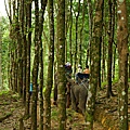 拷索國家公園騎象