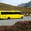 陪伴我們三天的大黃巴士