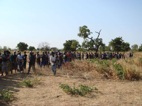 排隊義診的病患有三百多個