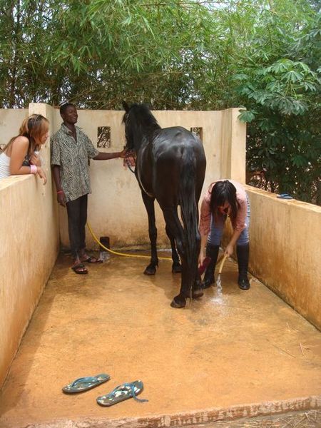 結束後還有自費行程洗馬秀XD