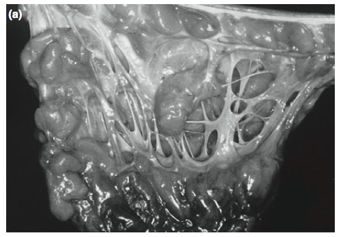 螢幕快照 2016-07-23 下午4.01.07.png 螢幕快照 2016-07-23 下午4.01.07.png