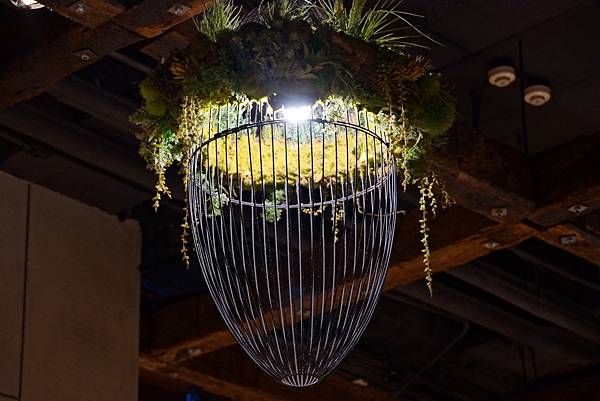 DSC02607.JPG DSC02607.JPG