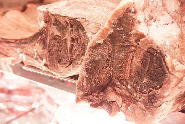 DSC09221.JPG DSC09221.JPG