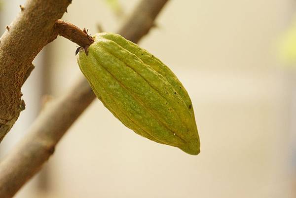 DSC01378.JPG DSC01378.JPG