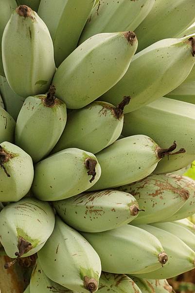 DSC01369.JPG DSC01369.JPG