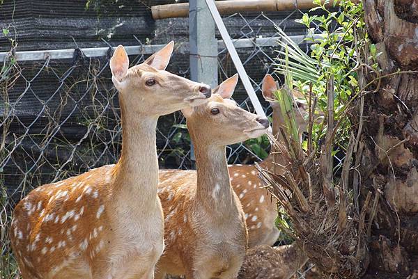 DSC01007.JPG DSC01007.JPG