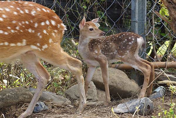 DSC01011.JPG DSC01011.JPG