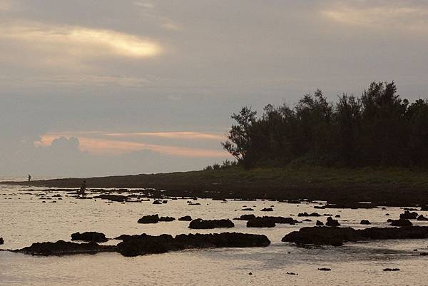 DSC01104.JPG DSC01104.JPG