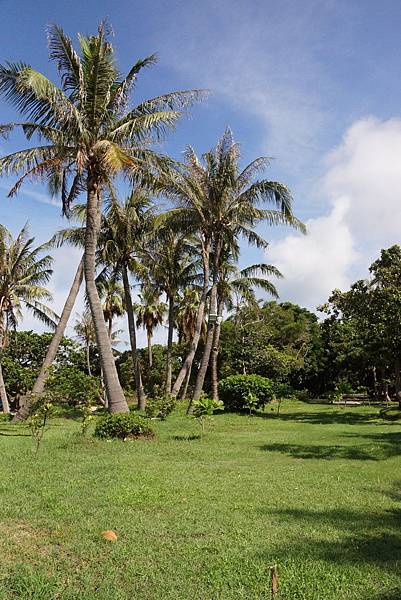 DSC01203.JPG DSC01203.JPG