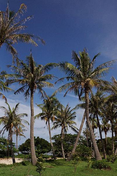 DSC01205.JPG DSC01205.JPG