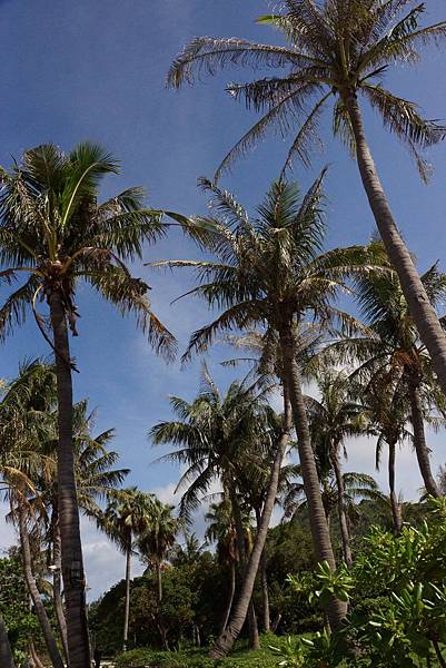 DSC01208.JPG DSC01208.JPG