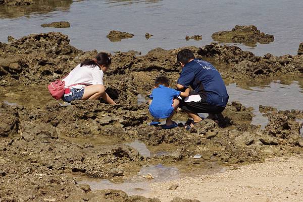 DSC01218.JPG DSC01218.JPG