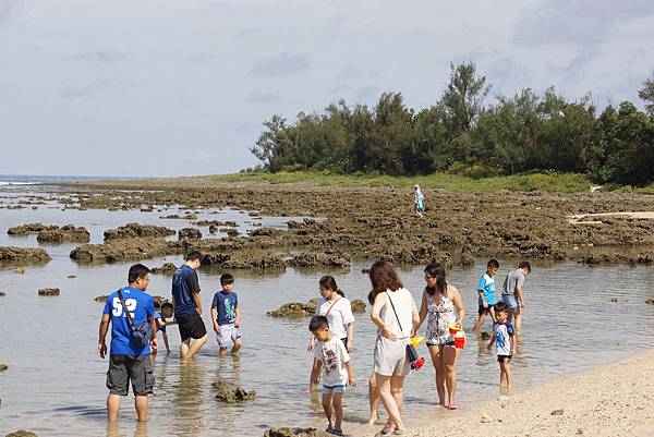 DSC01220.JPG DSC01220.JPG