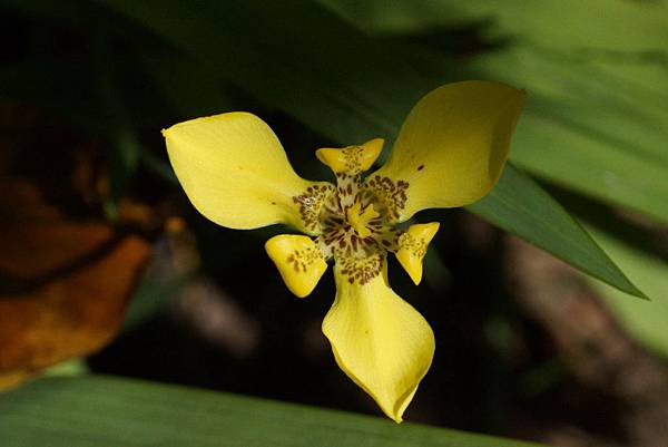 DSC01300.JPG DSC01300.JPG