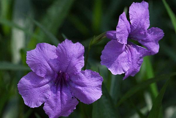 DSC01304.JPG DSC01304.JPG