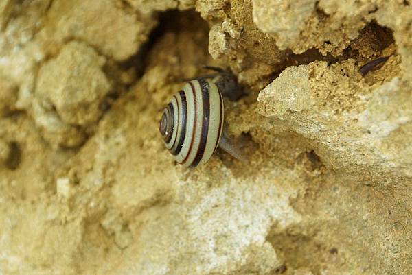 DSC01315.JPG DSC01315.JPG