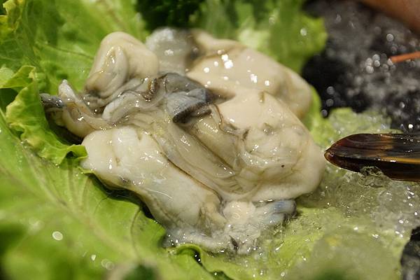 DSC01764.JPG DSC01764.JPG