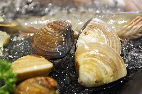 DSC01766.JPG DSC01766.JPG