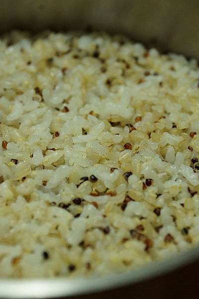 DSC01936.JPG DSC01936.JPG