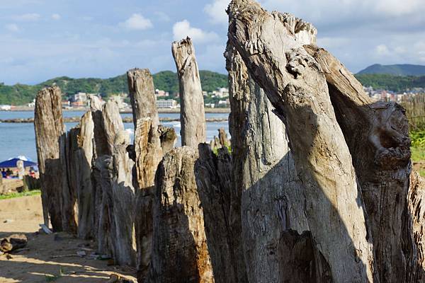 DSC02194.JPG DSC02194.JPG