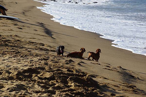 DSC02203.JPG DSC02203.JPG