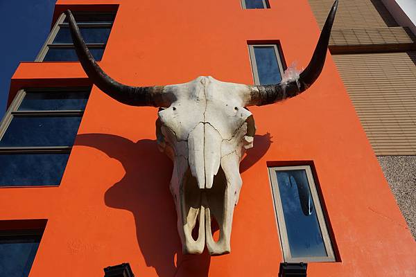 DSC02237.JPG DSC02237.JPG