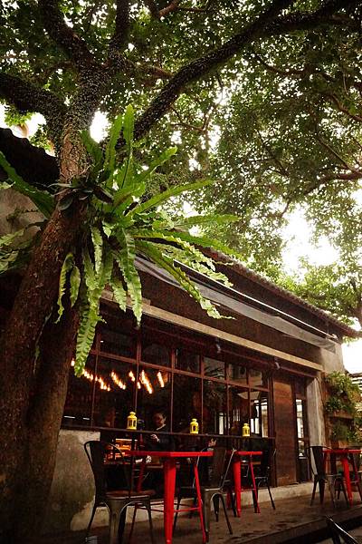 DSC04414.JPG DSC04414.JPG