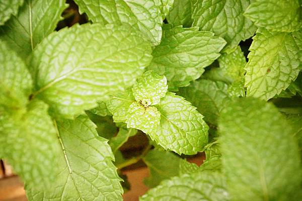 DSC04418.JPG DSC04418.JPG