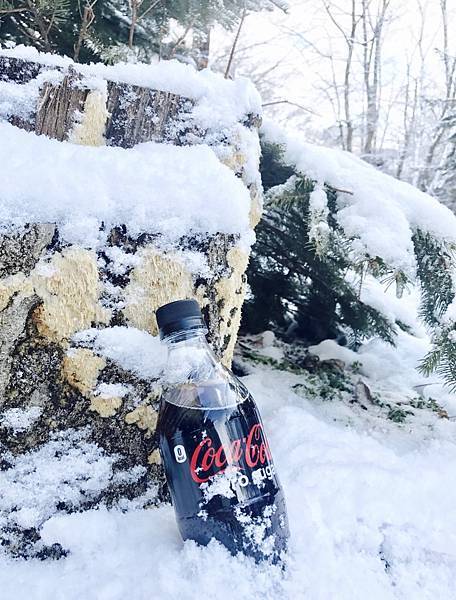 相片 2017-12-15 上午9 43 39.jpg