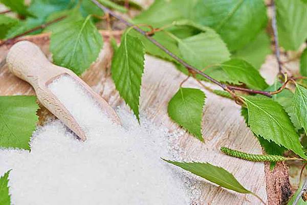 xylitol-erythritol-stevia.jpg xylitol-erythritol-stevia.jpg