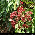 DSC00224