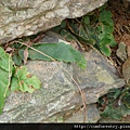 DSC00285