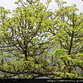 DSC00289