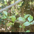 DSC05320