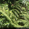 DSC05330