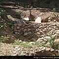 DSC05341