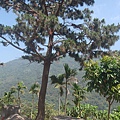 DSC05345
