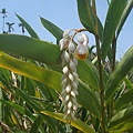 DSC05350