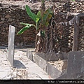 DSC05351