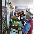 DSCN0251P100