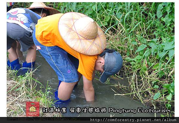 龍水社區─摸蚵仔兼洗褲