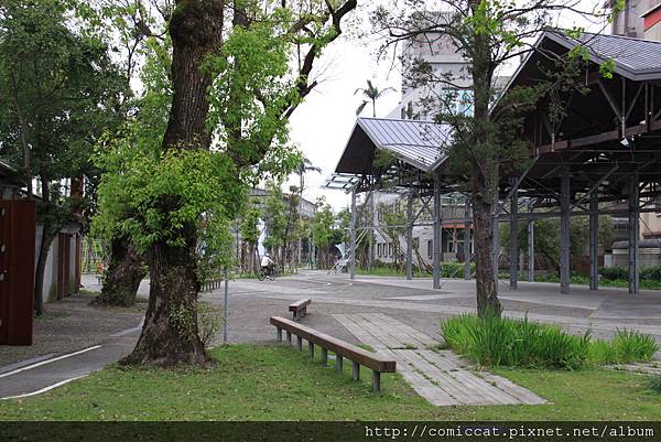 原來是有個小型的樟樹公園